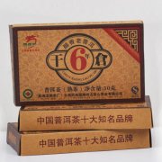 Long Yuan Hao 6 Years Aged Gan Cang Brick Tea 50g (Ripe)
