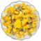 Oenothera Evening Primrose Flower Tea