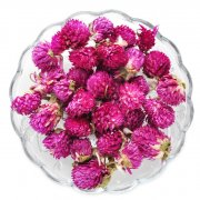 Purple Globe Amaranth Flower Tea